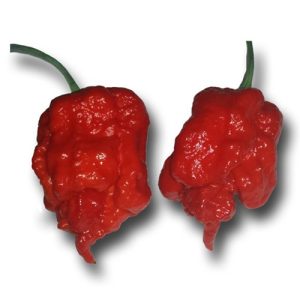 Carolina Reaper chili mag 10 szem/ csomag - Image 1