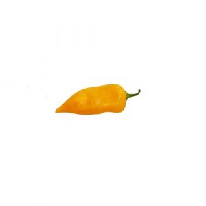 Bhut Jolokia yellow chili mag /10 szem