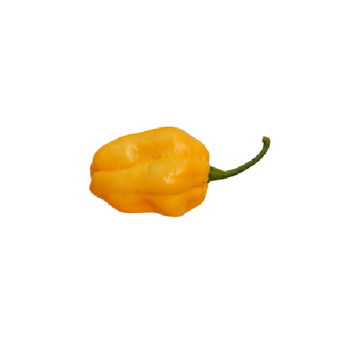 Habanero sárga chili mag (10szem/csomag)