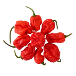 Pepper XXX JD chili mag