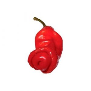 Peter's Pepper Red "Fütyi" chili paprika vetőmag/10 szem