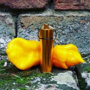 Trinidad Scorpion Yellow chili por kulcstartóban